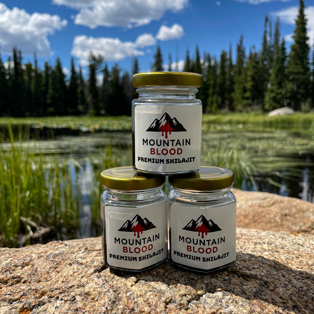 Pure Shilajit Resin 28g - June Batch